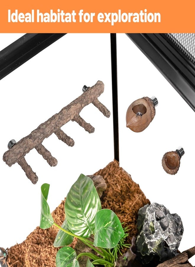 Oiibo Jumping Spider Hideout and Feeding Dish, 3 in 1 Nut Shaped Hide Cave Sets for Spider Playing Feeding Climbing, Enclosure Accessories - Image 2
